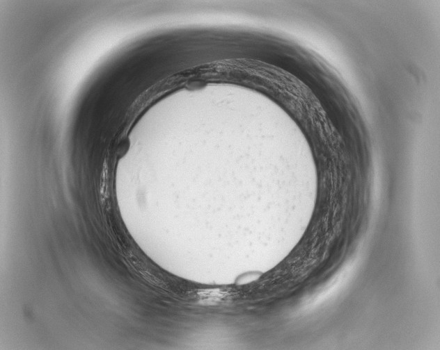 X0000114510050200911301157