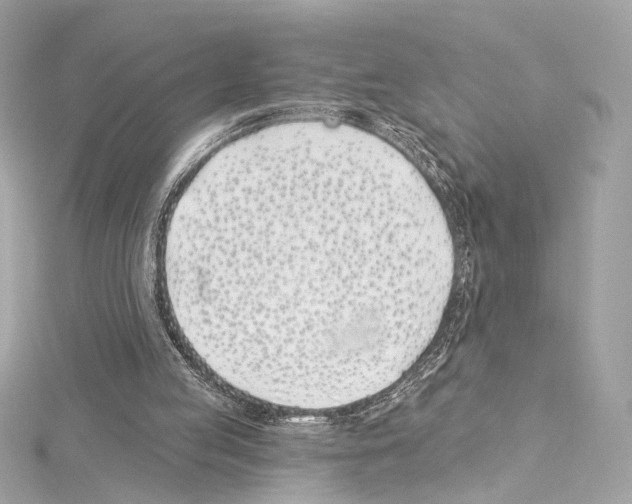 X0000114510053200911301157