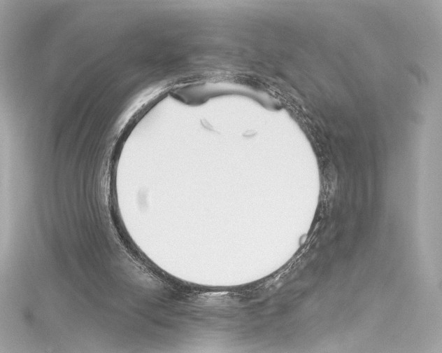 X0000114510054200911301157