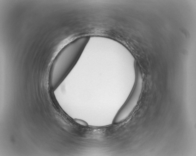 X0000114510056200911301157