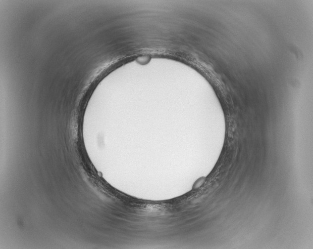 X0000114510060200911301157