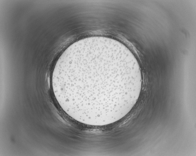 X0000114510061200911301157