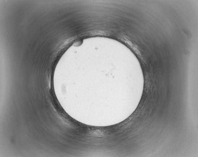 X0000114510062200911301157