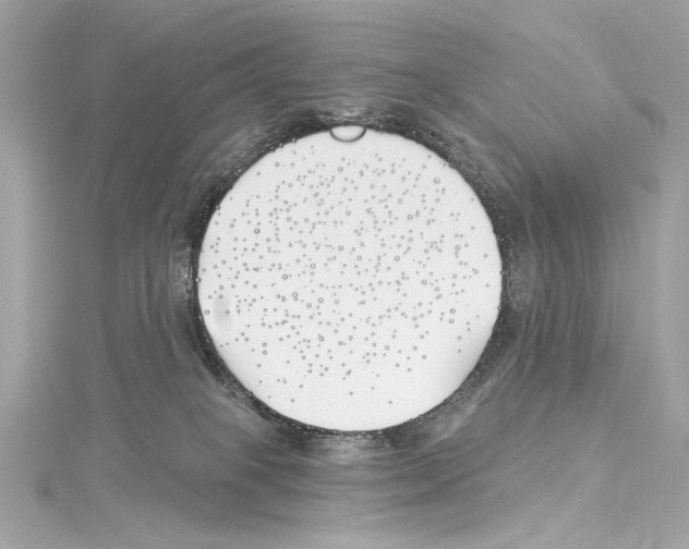 X0000114510085200911301157