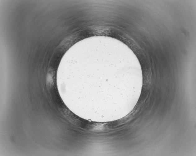 X0000114510090200911301157