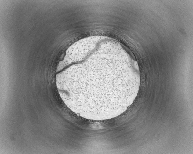 X0000114510091200911301157