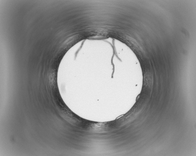 X0000114510092200911301157