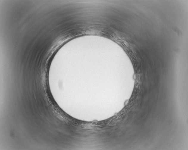 X0000114510098200911301156