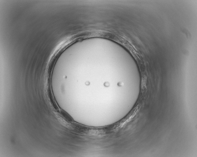 X0000114510101200911301156