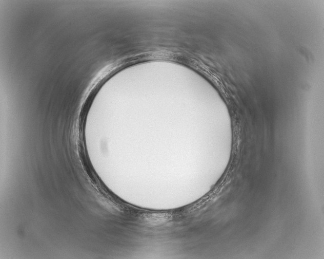 X0000114510102200911301156