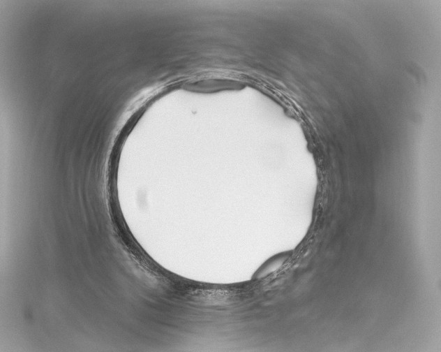 X0000114510104200911301156