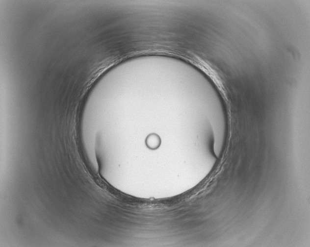 X0000114510105200911301156