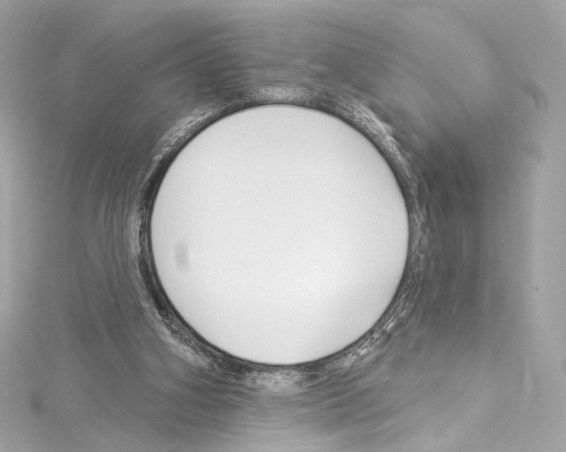 X0000114510106200911301156