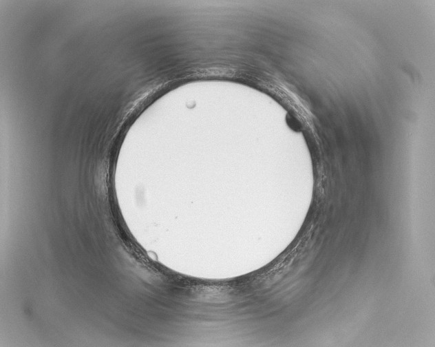 X0000114510107200911301156