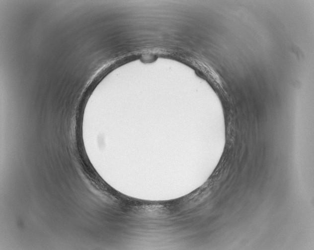 X0000114510108200911301156