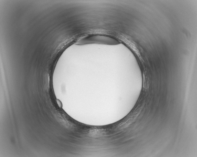 X0000114510109200911301156