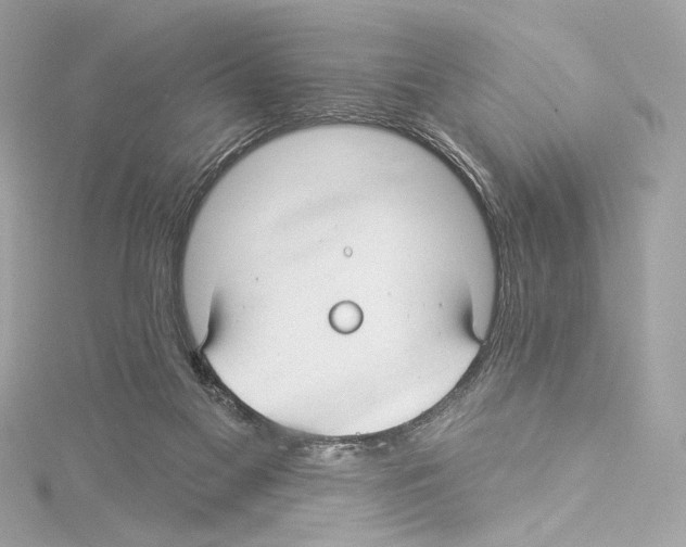 X0000114510117200911301156