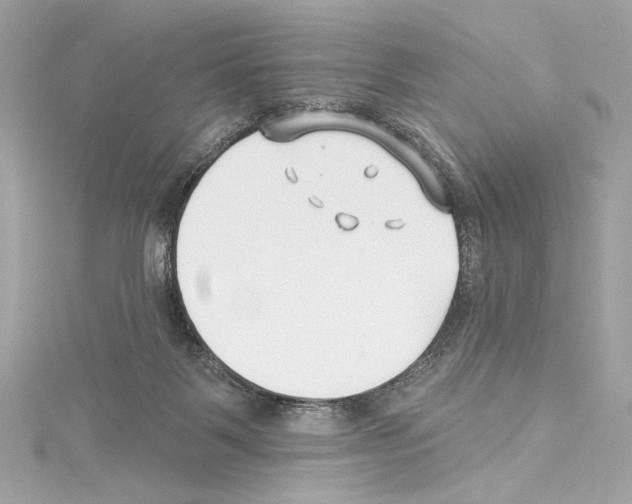 X0000114510123200911301156