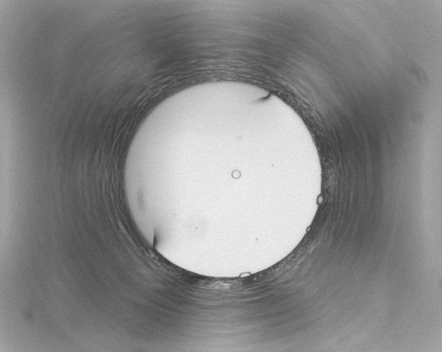 X0000114510129200911301156