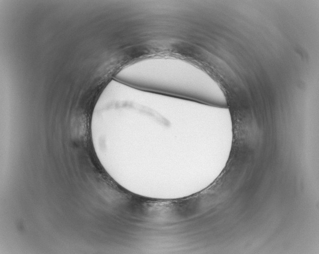 X0000114510132200911301156