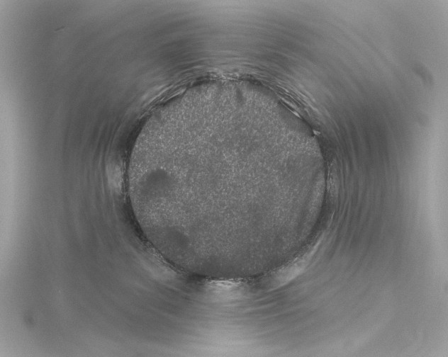 X0000114510139200911301156