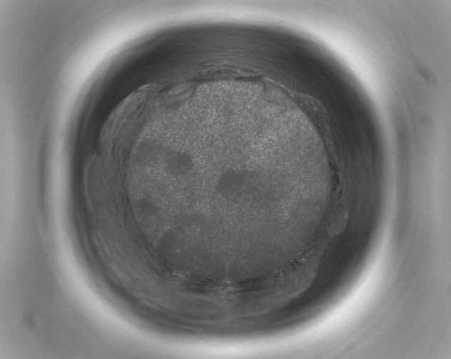 X0000114510143200911301156