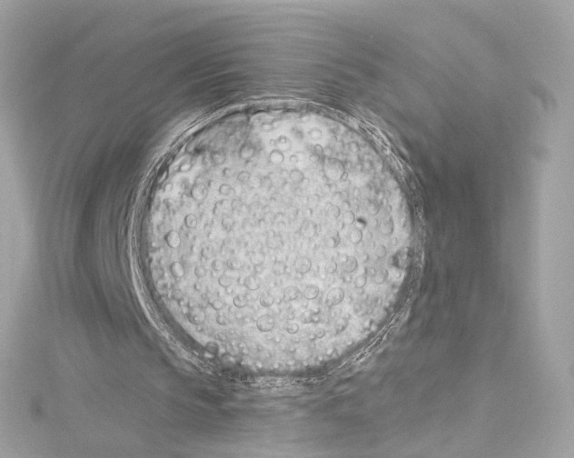 X0000114510145200911301155