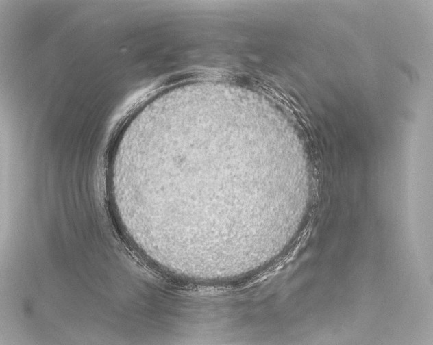 X0000114510149200911301155