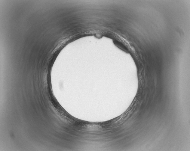 X0000114510154200911301155