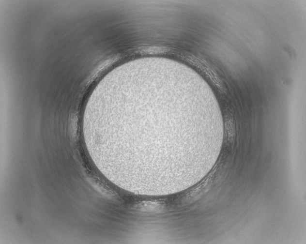 X0000114510159200911301155