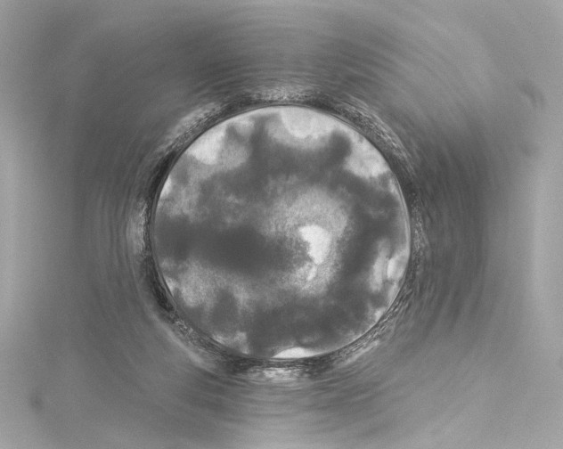 X0000114510163200911301155