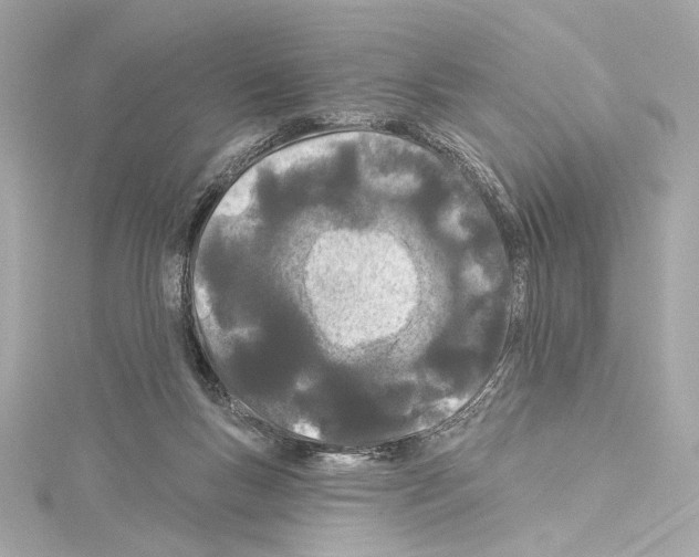 X0000114510167200911301155