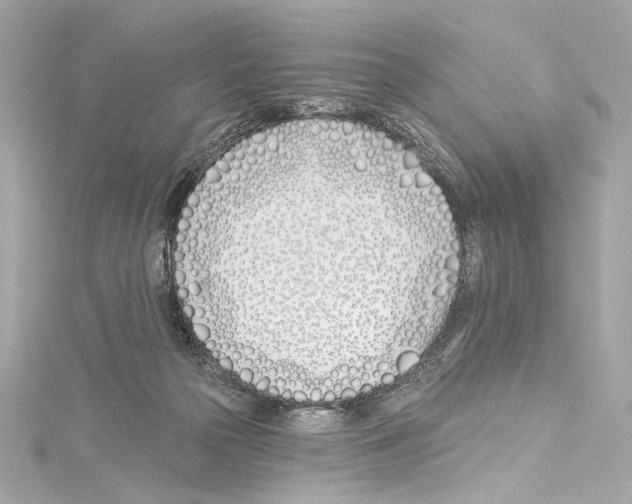 X0000114510169200911301155