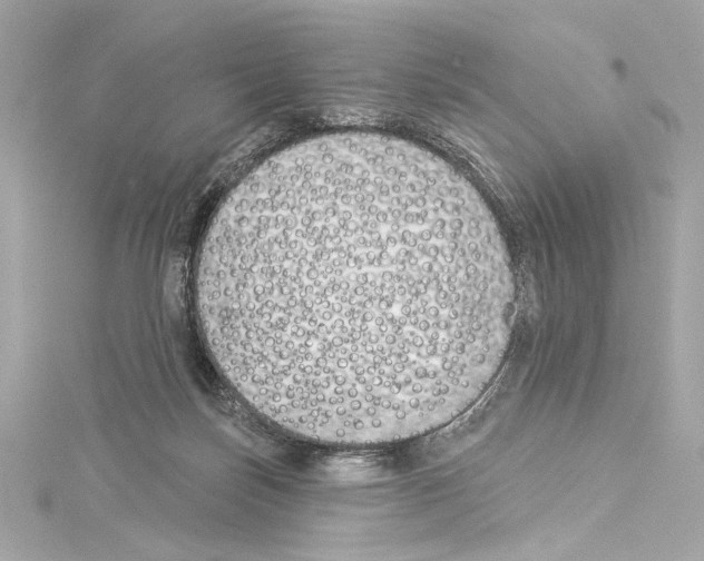 X0000114510171200911301155