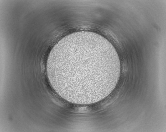 X0000114510173200911301155