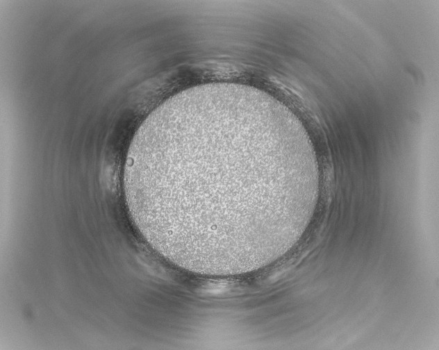 X0000114510177200911301156