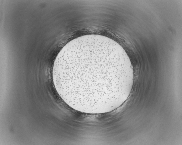 X0000114510182200911301156