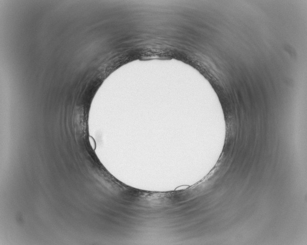 X0000114510186200911301156