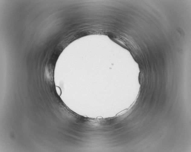 X0000114510190200911301156