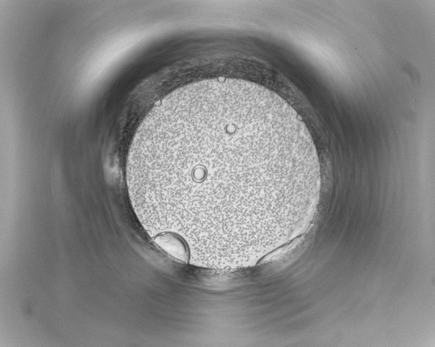 X0000114510191200911301156