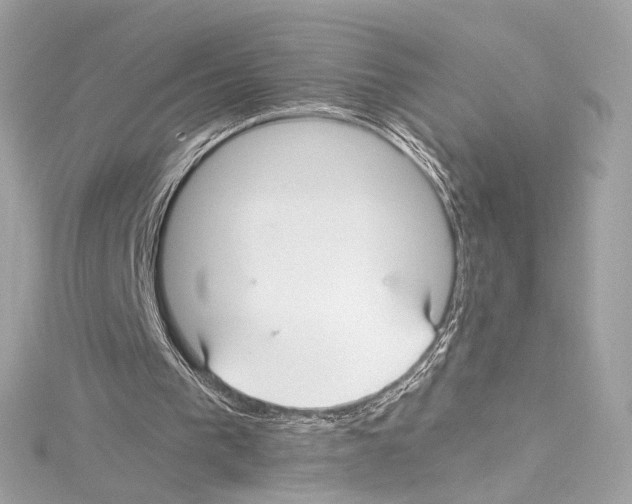 X0000114510193200911301155