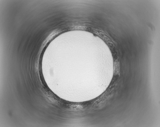 X0000114510195200911301155