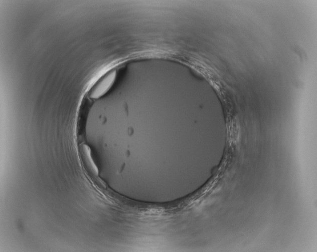 X0000114510196200911301155