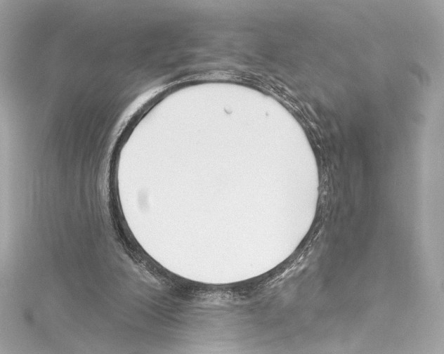 X0000114510200200911301155