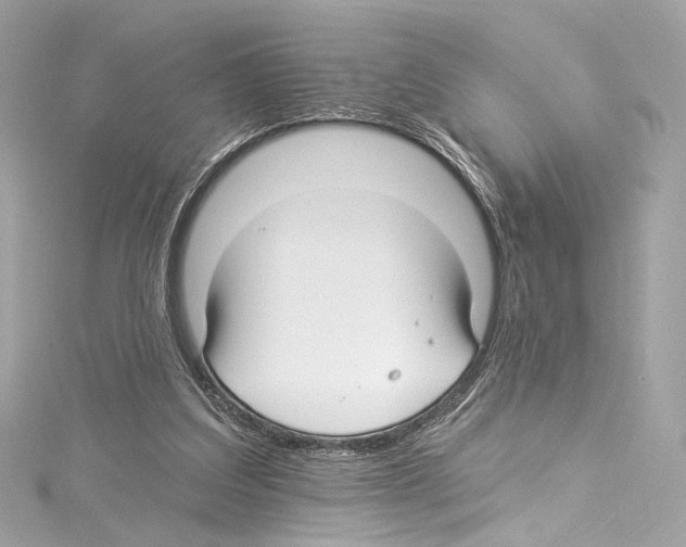 X0000114510203200911301155