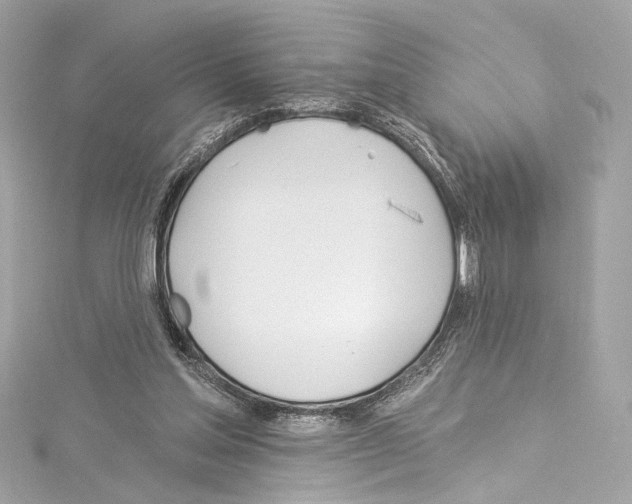 X0000114510205200911301155