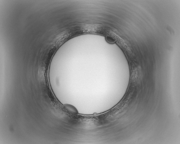 X0000114510209200911301155