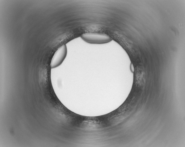 X0000114510211200911301155