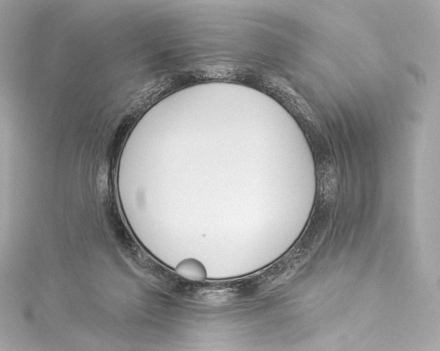 X0000114510213200911301155