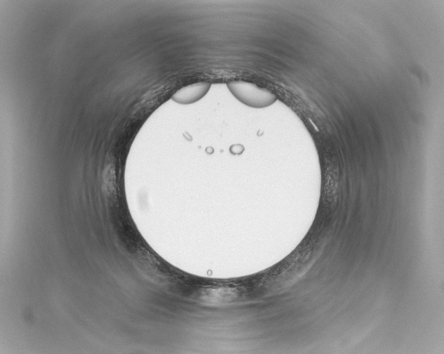 X0000114510220200911301155